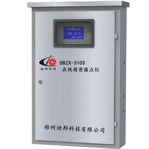 DBZX-310S在線精密露點儀 DBZX-310S在線精密露點儀